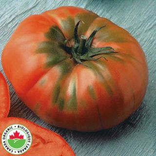 Brandywine Organic Tomato Thumbnail